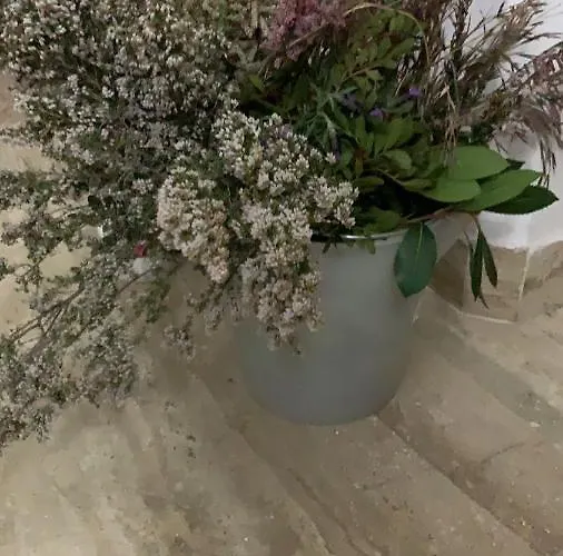 Nocleg ze śniadaniem Altrove Cagliari