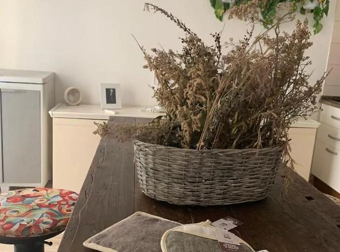 Alojamento de Acomodação e Pequeno-almoço Altrove 3*